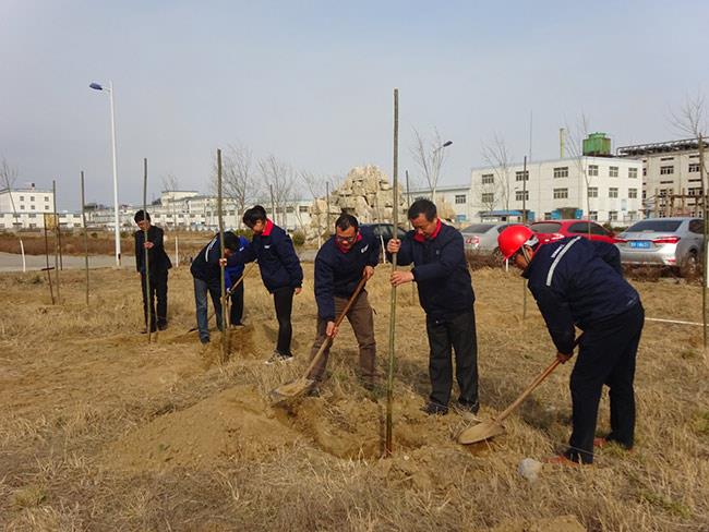 山東海利爾化工兩年植樹(shù)500余棵