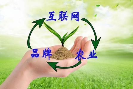“互聯(lián)網(wǎng)+農(nóng)業(yè)+品牌”等于什么？