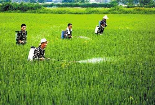 農(nóng)資市場(chǎng)魚龍混雜，抗性真的有宣傳的那么嚴(yán)重嗎？