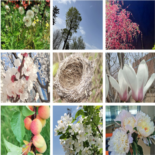 滕潤翔“向上的力量，怒放的生命”主題活動落地  